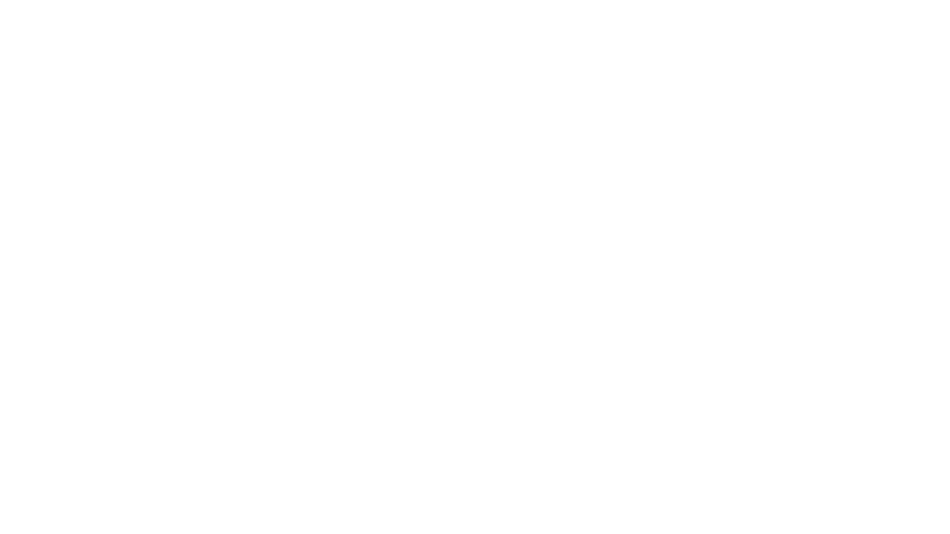 VP Logo